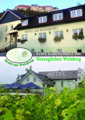 Гостиница Hotel am Weinberg  Фрейбург